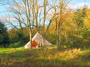 Bell tent surrounded by woodlands