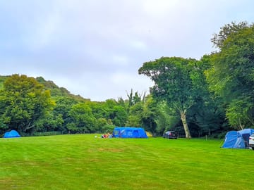 Visitor image of the pitches
