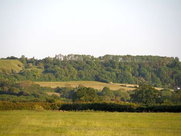 View to the Marlborough Downs