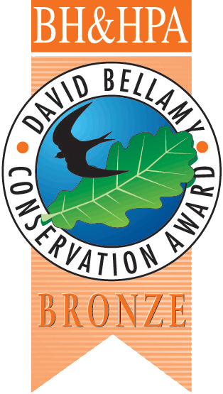 Bronze David Bellamy Conservation Award