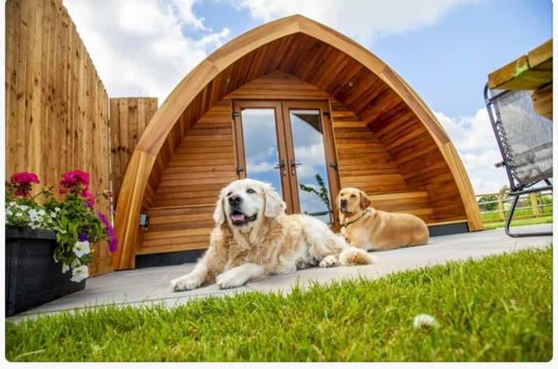 There’s usually some outdoor space for your dogs around glamping pods