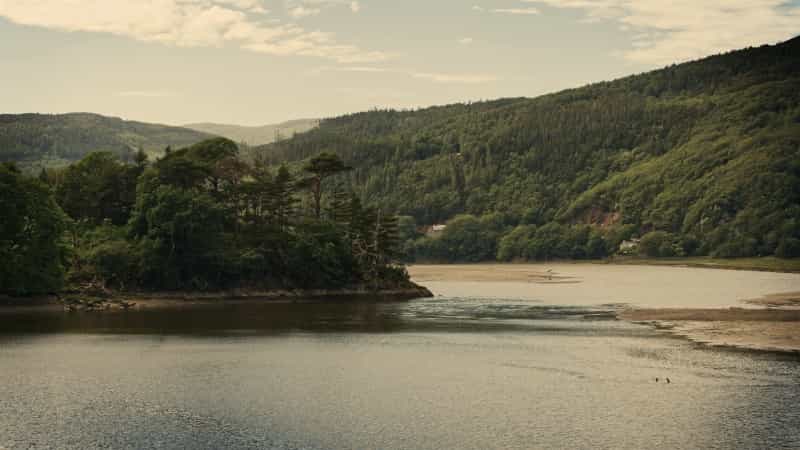 A view from the south side of the River Mawddach estuary (Simon J on Unsplash)