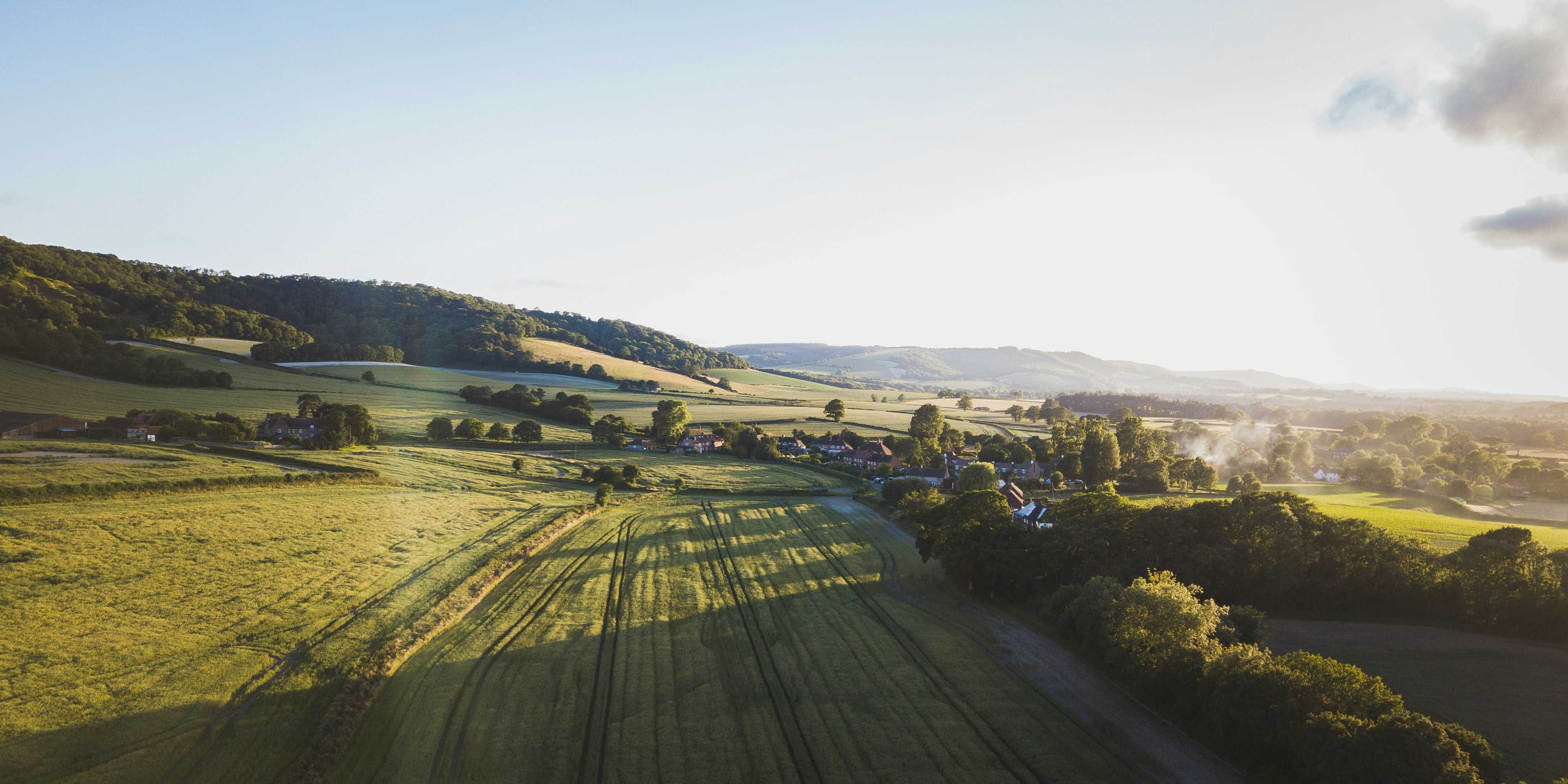 Facing west along the South Downs on a late summer evening (Sam Knight / Unsplash) 