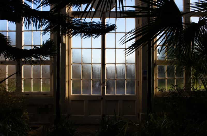 Inside the Glass Pavilions at Sheffield Botanical Gardens (Ben Allan on Unsplash)