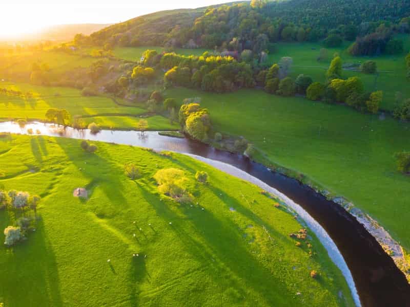 A river runs through lush greenery in Denbighshire (Humphrey Muleba / Unsplash)