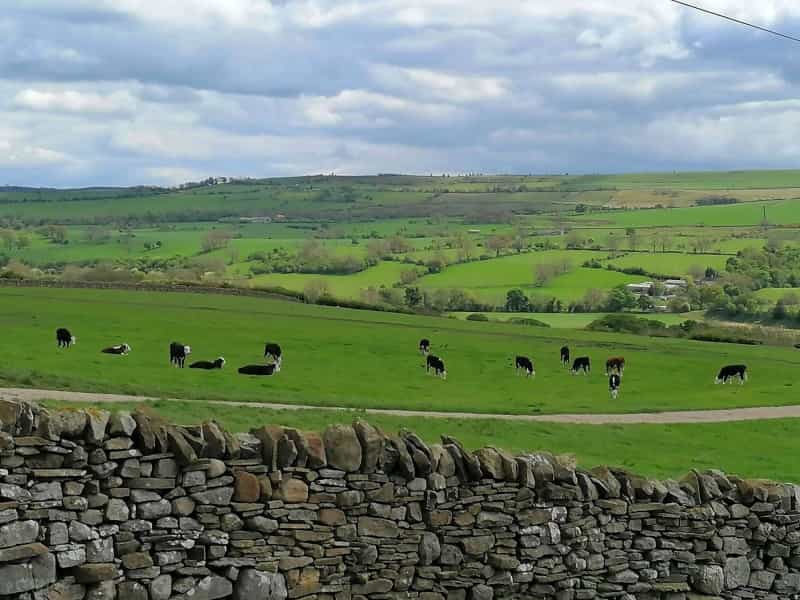 View across the Dales